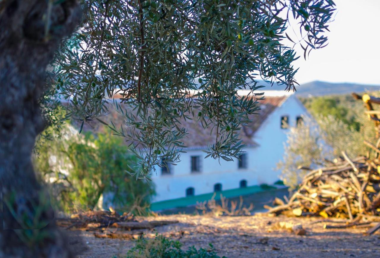 Cortijo Alzamigaja Villa Archidona Dış mekan fotoğraf