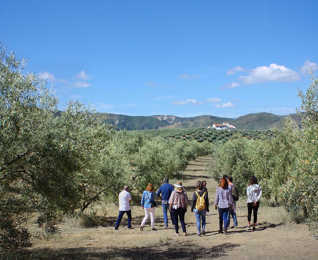 Cortijo Alzamigaja Villa Archidona Dış mekan fotoğraf