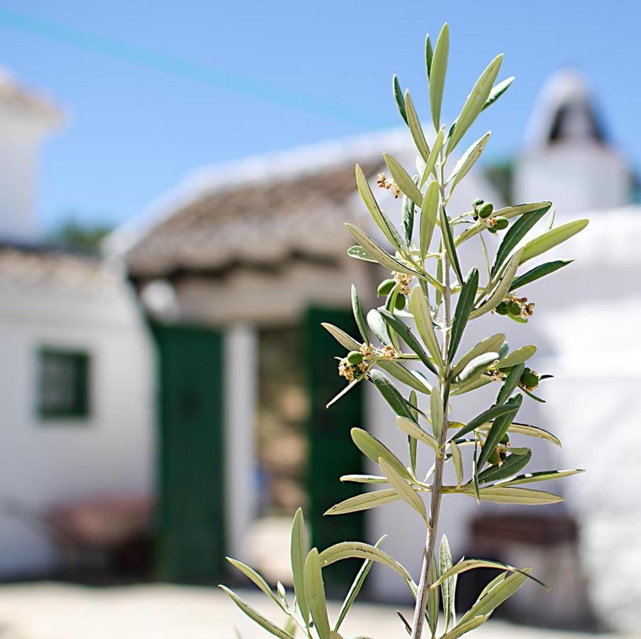 Cortijo Alzamigaja Villa Archidona Dış mekan fotoğraf
